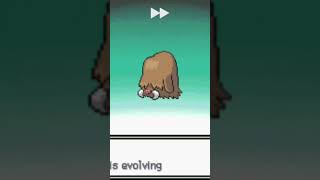 MamoswinePiloswine is evolvingPokemon platinumPkmn worldpiloswinemamoswine pokemon pkmnworld [upl. by Geof]