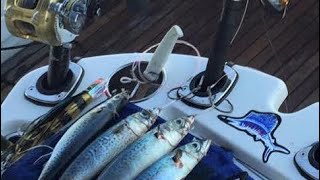 Rigging a skipswitchbait for Marlin how to step by step [upl. by Odilo306]