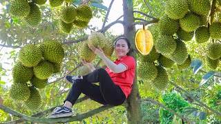 Harvest Delicious Durian Garden goes to the market sell  Emma Daily Life [upl. by Stu]