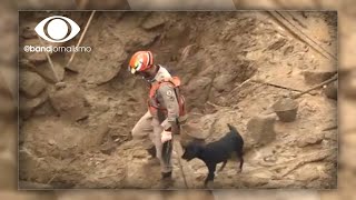 Chuvas em Petrópolis Corpo de Bombeiros retomam buscas [upl. by Otsuj]