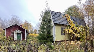 Completely Untouched Abandoned Tiny House in the Swedish Countryside [upl. by Helyn42]