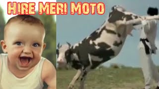 Haye Re Meri Moto Cow Version  Hi Re Meri Motto  Ajay Hooda  Diler Kharkiya [upl. by Gomar]