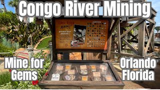 Gem Mining in Orlando at the Congo River MiniGolf Course with RockinRobin 103 gemmining [upl. by Lowndes404]