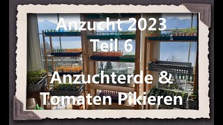 Anzucht 2023 Teil 6  Anzuchterde amp Tomaten Pikieren [upl. by Ohcirej966]