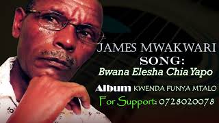 James Mwakwari  Bwana elesha chia yapoOfficial Audio [upl. by Herwick]