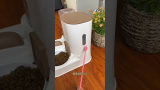 Pet Automatic Food amp Water Dispenser  For Long Term Supply for Cats amp Dogs [upl. by Aerdno]