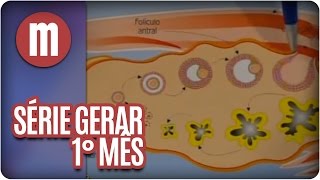 Série Gerar 1 O primeiro mês de gravidez  Mulheres [upl. by Cesaria]