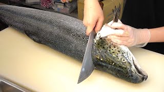 How To Fillet a Whole Salmon  Sashimi amp Sushi Taiwanese street food [upl. by Cheatham316]