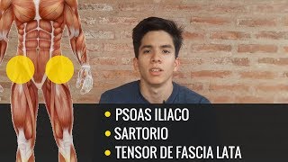 Ejercicios Para Rehabilitación y Fortalecimiento del Psoas Iliaco  Tensor de Fascia Lata  Sartorio [upl. by Anai]