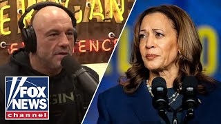 Joe Rogan reveals why Kamala Harris interview didnt happen [upl. by Atiraj397]