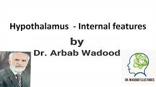 Hypothalamus  Internal features Part 3  Neuroanatomy  Lecture 43 by Dr Arbab Wadood [upl. by Ahseei495]