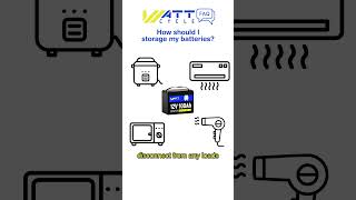 How to Store WattCycle LiFePO4 Batteries  FAQ [upl. by Lymn29]