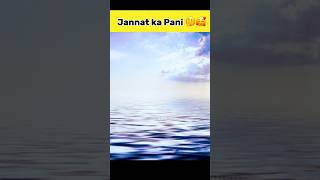 Jannat ka Pani  Hauze Kausar Jannat Ka Pani ytshorts shorts islam islamic [upl. by Paik]