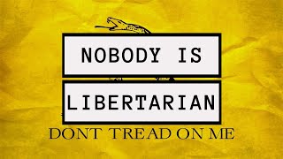 The Failed Ideology of Libertarianism  Political Philosophy [upl. by Akin]