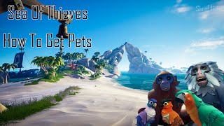 Sea Of Thieves  How To Get Pets [upl. by Rudd]