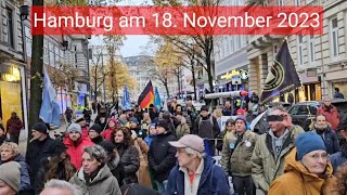 Demo in Hamburg mit Björn Banane [upl. by Limemann]