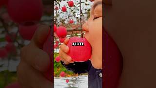 Lebensmittel und ihre Benefits🍎 gesund [upl. by Goto596]