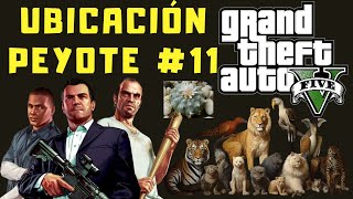 GTA 5  Peyote All Locations Guide Part 1  Become an Animal  First 3 Locations [upl. by Davie643]