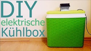 Elektrische Kühlbox selber bauen [upl. by Hedy]