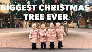 QUADRUPLETS SEE quotTHE BIGGEST CHRISTMAS TREE IN THE WORLDquot [upl. by Trish]