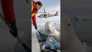 Young volunteers rescue a birthing mother whale and heal the ocean seaanimals [upl. by Thedrick609]