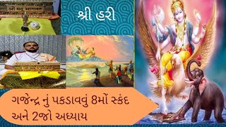 ગજેન્દ્ર નું પકડાવવું   Nitin Joshi Vlog   Gajendra story [upl. by Adeys]