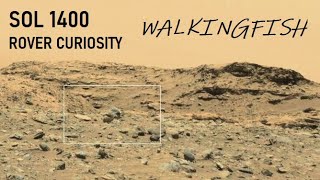 Sol 1400 MastCam En el borde de Naukluft Plateau El Pez Andante E8 Curiosity NASA walkingfish [upl. by Nialb99]