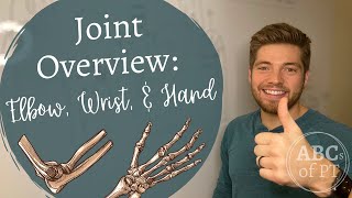 Elbow Wrist amp Hand  Joints and Arthrokinematics [upl. by Rafat]