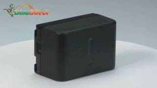 Replacement Digital Camera Camcorder Battery for Panasonic VWVBS20E from [upl. by Neelav]