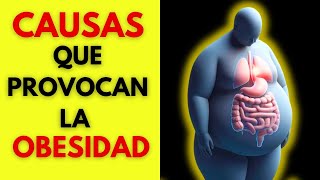 ❌ 5 HÁBITOS que AUMENTAN el RIESGO de OBESIDAD y Cómo PREVENIRLOS 🛑 [upl. by Hseham]