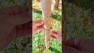 Rope Connection Knot Knotting Method survivalknots knotskill knotting [upl. by Bertasi]