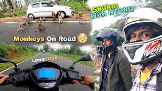 Long Ride On TVS Ntorq 125  500kms Trip of Assam🔥 [upl. by Avonasac]