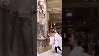 egyptian museum انتظارتو بیار پایین shortvideo [upl. by Cida]