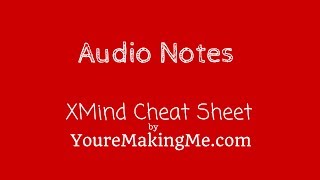 Audio Notes  XMind Pro  Business Toolbox [upl. by Esinaej]