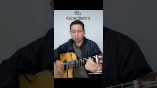 kjarkas  Fría cover en guitarra [upl. by Anyala182]