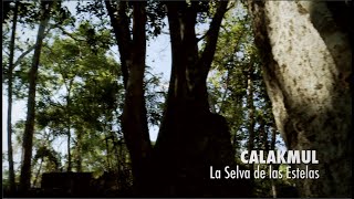 Calakmul la selva de las estelas PIEDRAS QUE HABLAN [upl. by Stanislas]