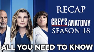 Grey´s Anatomy Season 18 Recap  ALL YOU NEED TO KNOW [upl. by Doralynne730]