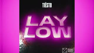 Tiësto  Lay Low SHULL Melodic Techno Remix FREE DOWNLOAD [upl. by Ronal649]