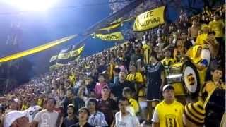 LA RAZA AURINEGRA quotDALE DALEEEEE GUARANIIIquot [upl. by Cressi]