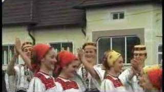 Romanian Traditional Dance  Transylvania  Maramures [upl. by Acsot491]