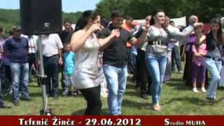 Vasar Teferic  Zirce 2012 Studio MUHA [upl. by Lauree]