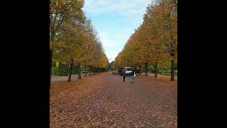 1🌹REGENTS PARK❤LONDON UK🌴 [upl. by Nosdivad508]