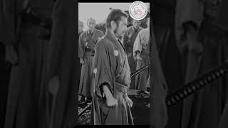 Sanjuro 1962 — The Final Samurai Showdown Cell phone kurosawa toshiro mifune japan japon [upl. by Marcos2]