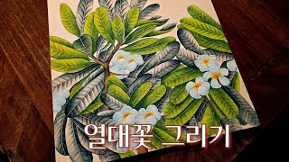 민화공필화열대꽃 그리기플루메리아창작PlumeriaLeelawadeeLoveHwaiitraditional korean painting [upl. by Sineray]