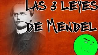 Gregorio mendel y sus chícharos Las tres leyes de Mendel [upl. by Thaddus471]