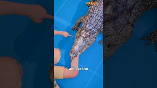 How To Escape An Alligator Death Roll 😨shorts [upl. by Ididn]