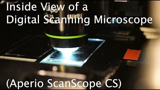 Whole Slide Scanning Microscopy Aperio ScanScope [upl. by Salvador316]