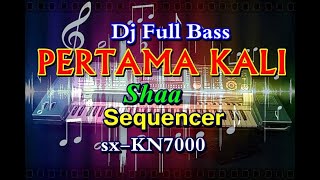 Shaa  Dj Pertama Kali Full Bass karaoke  sxKN7000 [upl. by Vick292]