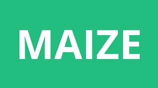 How To Pronounce Maize  Pronunciation Academy [upl. by Htessil]