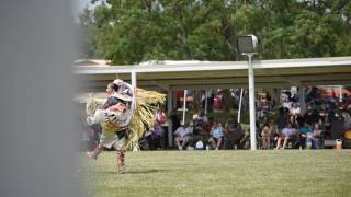 Fancy Shawl  2016 Prairie Band Potawatomi Pow Wow [upl. by Anuat454]